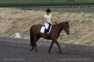 ISIS Dressage Challenge 2008